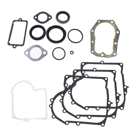 480-149 Gasket Kit Replacement for Briggs Stratton 494241 490525
