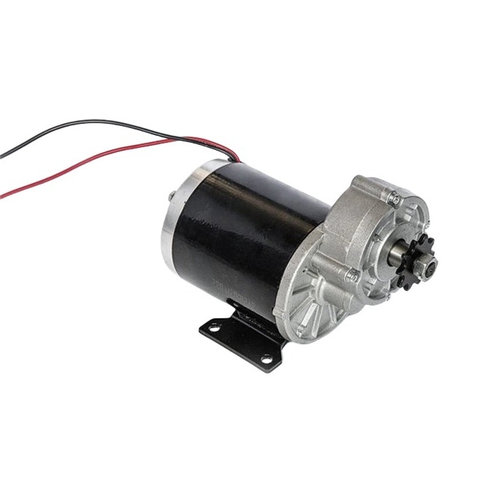 36V 600W Geared Brush Motor 450W MY1020Z/ZD108AZ1