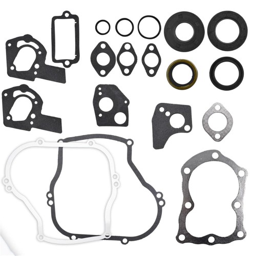 Gasket Set Compatible with Engine Replaces 495603 397145 297615 4-5hp
