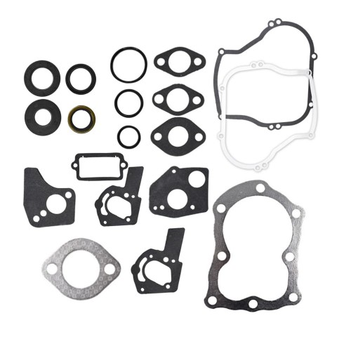 Gasket Set Compatible with Engine Replaces 495603 397145 297615 4-5hppicture5