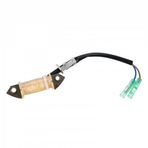 Charge Coil for Yamaha Parsun HDX Makara 9.9HP 15HP T9.9 F9.9 F15 66M-85520-00 F15-07000300
