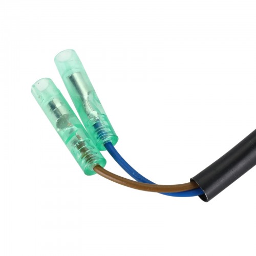 Charge Coil for Yamaha Parsun HDX Makara 9.9HP 15HP T9.9 F9.9 F15 66M-85520-00 F15-07000300picture2