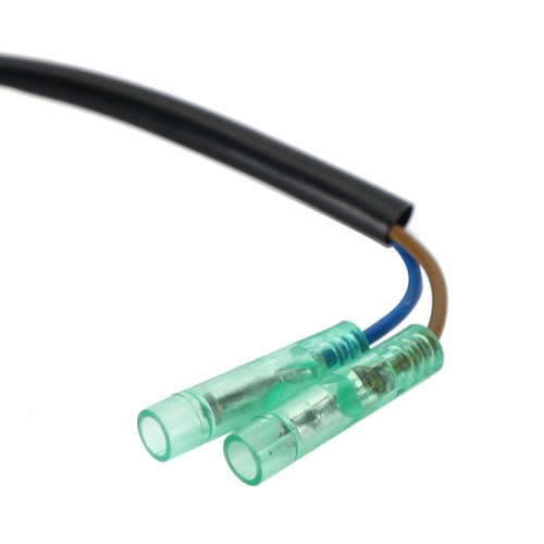 Charge Coil for Yamaha Parsun HDX Makara 9.9HP 15HP T9.9 F9.9 F15 66M-85520-00 F15-07000300picture3