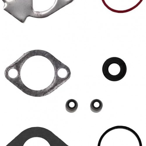 Gasket Set for Briggs & Stratton 21B900 285H00 28CH00 215000 796181 697151picture3