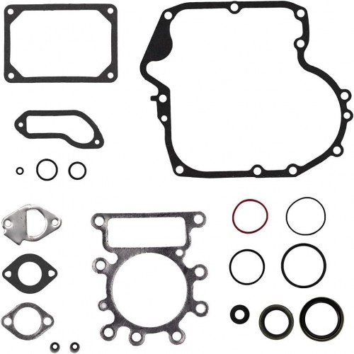Gasket Set for Briggs & Stratton 21B900 285H00 28CH00 215000 796181 697151picture5