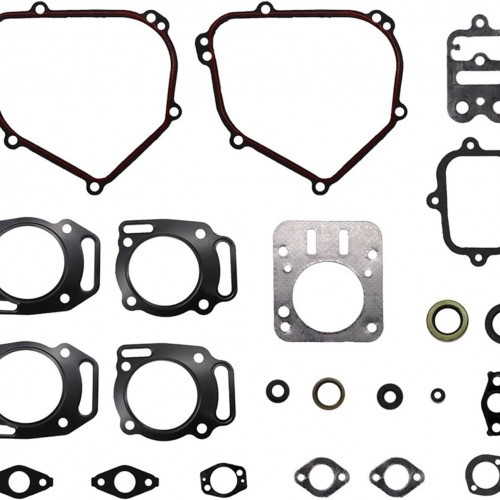 Gasket for Briggs & Stratton 698216 Engine Set Replaces 695155 690031