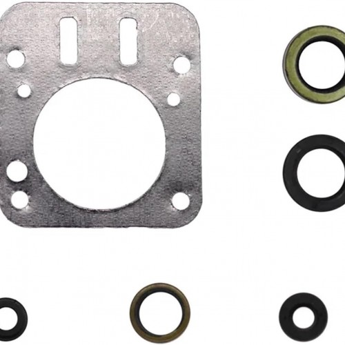 Gasket for Briggs & Stratton 698216 Engine Set Replaces 695155 690031picture4