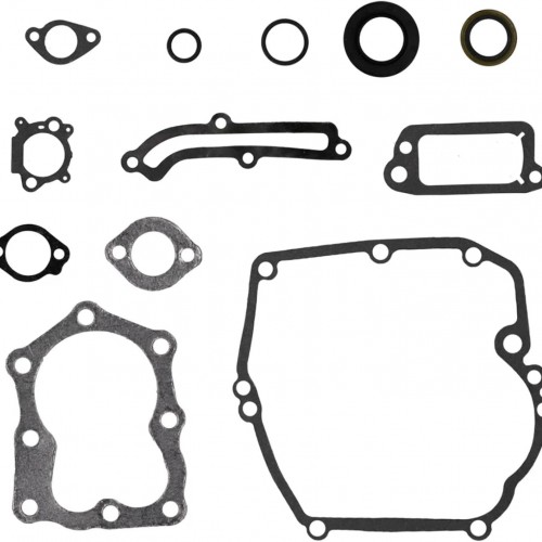Gasket Set Replacement 496117 # 493263 for Briggs & Stratton Enginepicture6