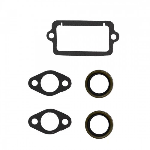 Gasket Set for Briggs & Stratton 494550 495605 Lawn Mower Tractor Motor Enginespicture2