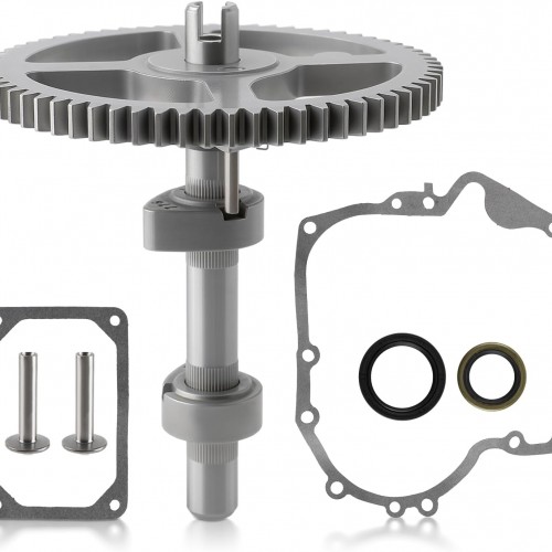 793880 Camshaft Kit Compatible with Briggs & Stratton 793583 792681 791942 795102 Gasket 697110 795387