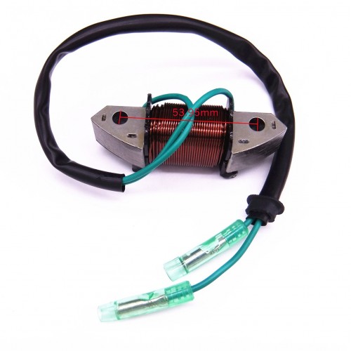 61N-81313-09 Lighting Coil or Yamaha Outboard C 25HP 30HP E25B E30H 2-Stroke
