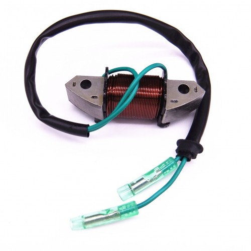 61N-81313-09 Lighting Coil or Yamaha Outboard C 25HP 30HP E25B E30H 2-Strokepicture4