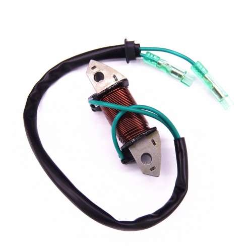 61N-81313-09 Lighting Coil or Yamaha Outboard C 25HP 30HP E25B E30H 2-Strokepicture2