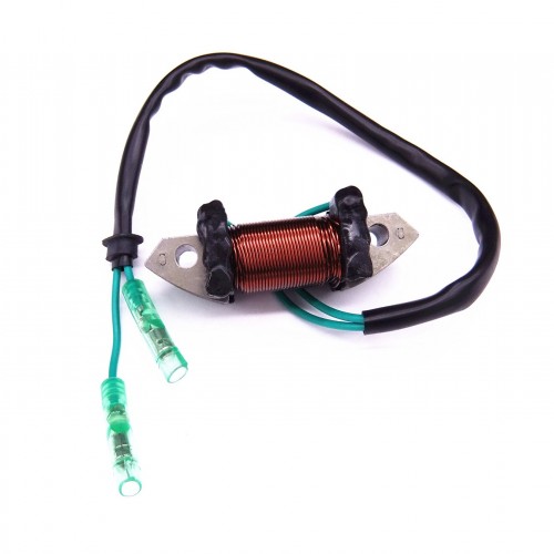 61N-81313-09 Lighting Coil or Yamaha Outboard C 25HP 30HP E25B E30H 2-Strokepicture3