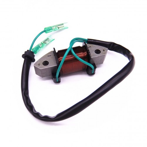 61N-81313-09 Lighting Coil or Yamaha Outboard C 25HP 30HP E25B E30H 2-Strokepicture5