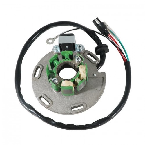 Stator Coil Magneto Engine Rotor for KTM Racing TM85 EN MX SMX 125 250picture4