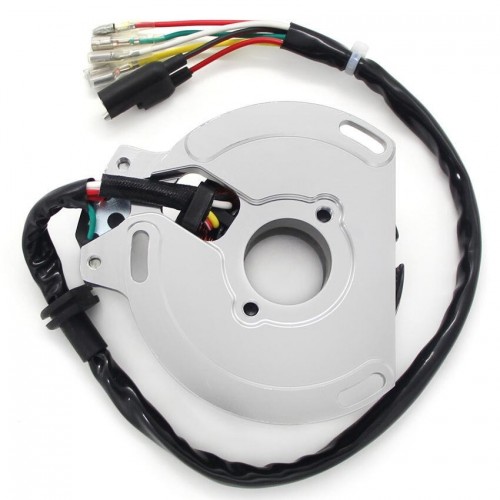 Stator Coil Magneto Engine Stator Rotor Coil for KTM 125 EXC SIX DAYS EXE EGS 6KW 6KM SX SXS 50339004200picture2