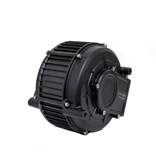 Electric Buggy Engine QS165 5000W 35h Center Drive Motor