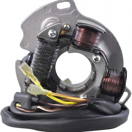 Generator Stator with Polaris Xpress 300 1996-1999，3084814