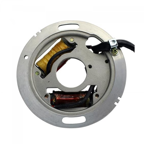 Brand New Stator Coil for Yamaha Bravo 250 Carb F/C 1995–2011 8BD-85560-00-00picture4