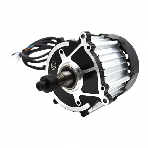 48V Sixteen Piece Magnet Differential Motor AMR Drive BLH DC Brushless Geared Motor