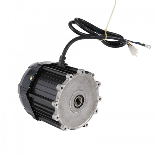 60V 1000W Electric Vehicle Parts Permanent Magnet Brushless DC Electric Tricycle Motor