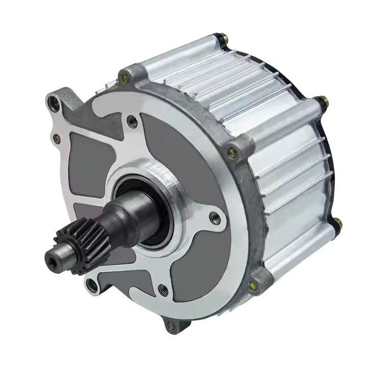 High Power 48v 350-1500W DC Motor 3 Wheel Rickshaw