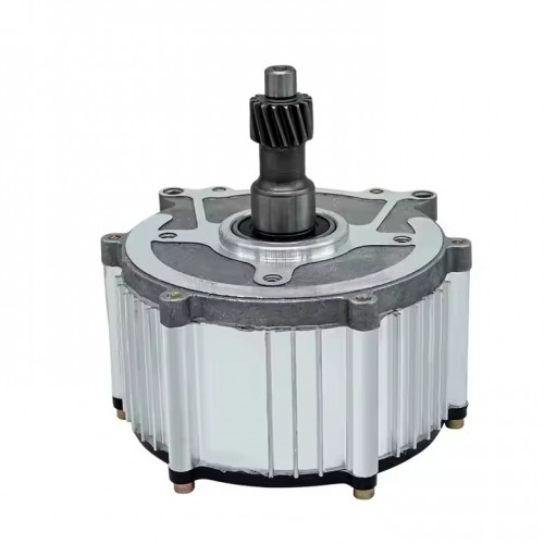High Power 48v 350-1500W DC Motor 3 Wheel Rickshawpicture3
