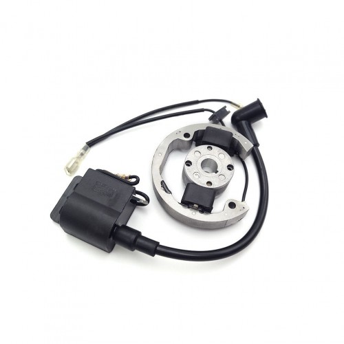 Off-road Motorcycle SX 50 2 Stroke Engine Ignition Coil Magneto Flywheel Stator Rotor Kit for KTM 50SX 50cc 2002-2008picture4