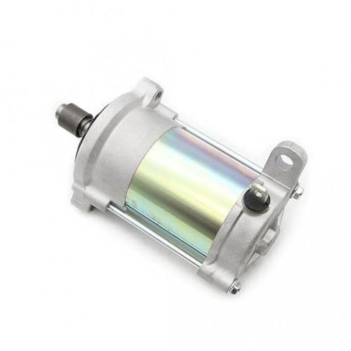 Starter Motor for Taiga Patrul 550/551 SWT 428000-8971picture2