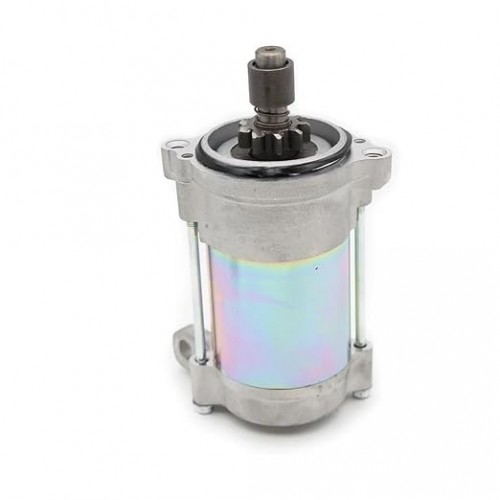 Starter Motor for Taiga Kawarara 550 V 428000-8971picture5