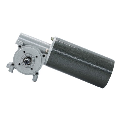 Worm Gear Reduction DC Permanent Magnet Gear Motor