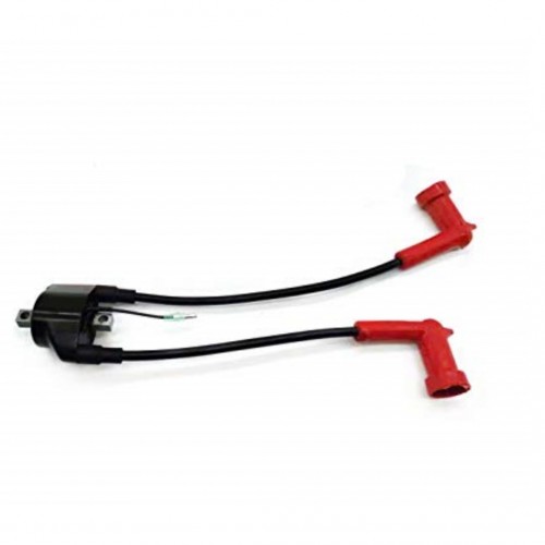 Ignition Coil For  Outboard 9.9/15/18/25/30/40HP(1993-2016) 18-5166,189-3381,16064T02,3G2-06040-0
