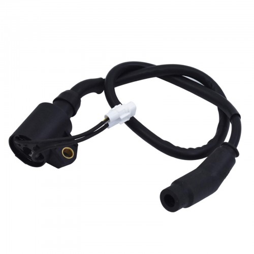 3089860 3089910 Ignition Coil Replacement for Polaris Sportsman 300 4X4 2008-2010