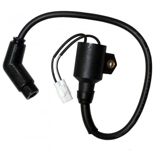 3089860 3089910 Ignition Coil Replacement for Polaris Sportsman 300 4X4 2008-2010picture4