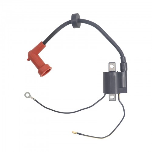 61A-85570-01/00 Outboard Ignition Coil For Yamaha 9.9 15 20 25 30 40 50 HPpicture5