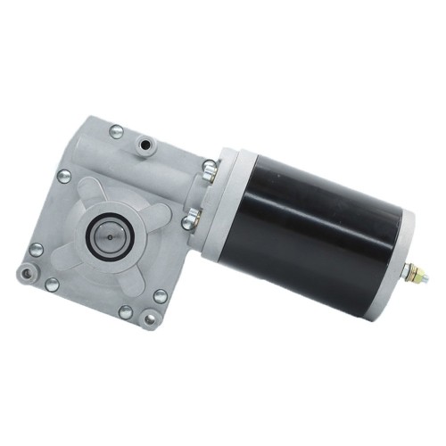 Micro High Torque DC Worm Motor 240Wpicture2