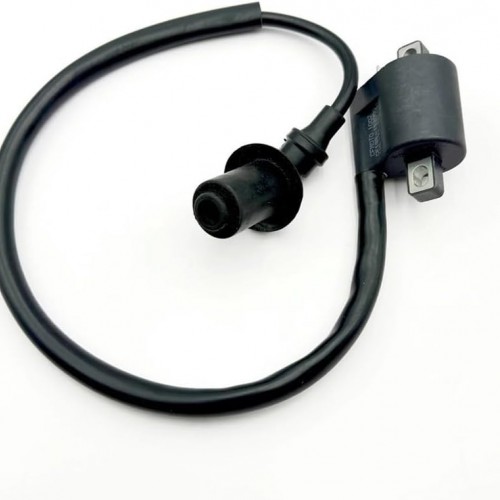 Ignition Coil for CFMOTO 500 X5 U5 CF188 Go 520 525 Ren 500 0180-152000 CF188-152000picture2