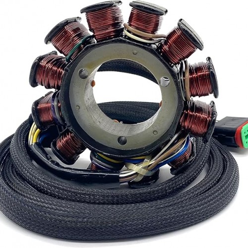 Generator Stator with Polaris Genesis / FFI / I | MSX 140 | Virage I / TXI 1999-2004， 4010320