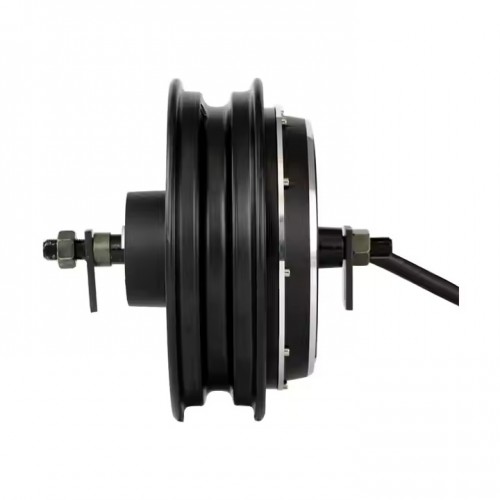 Wheel Motor 48-120V 2500w Brushless DC Motor with Batterypicture5