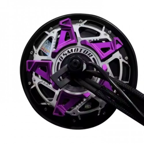 QS Motor 10*2.15 inch 8000W 212 V7 72V Electric Bicycle Electric Scooter Hub Motorpicture4