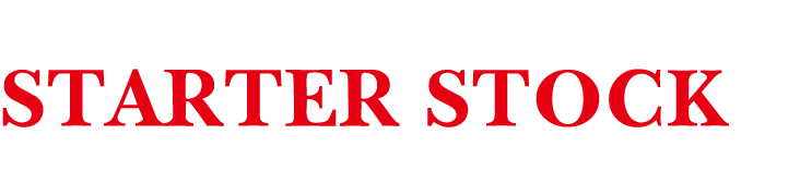 STARTER MOTOR